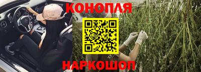 гашик Гусев