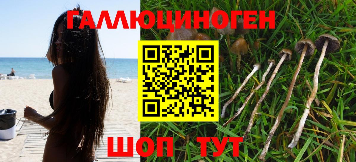 Мыски  Галлюциногенные грибы ЛСД  Галлюциногенные грибы Cubensis  Вход с VPN 